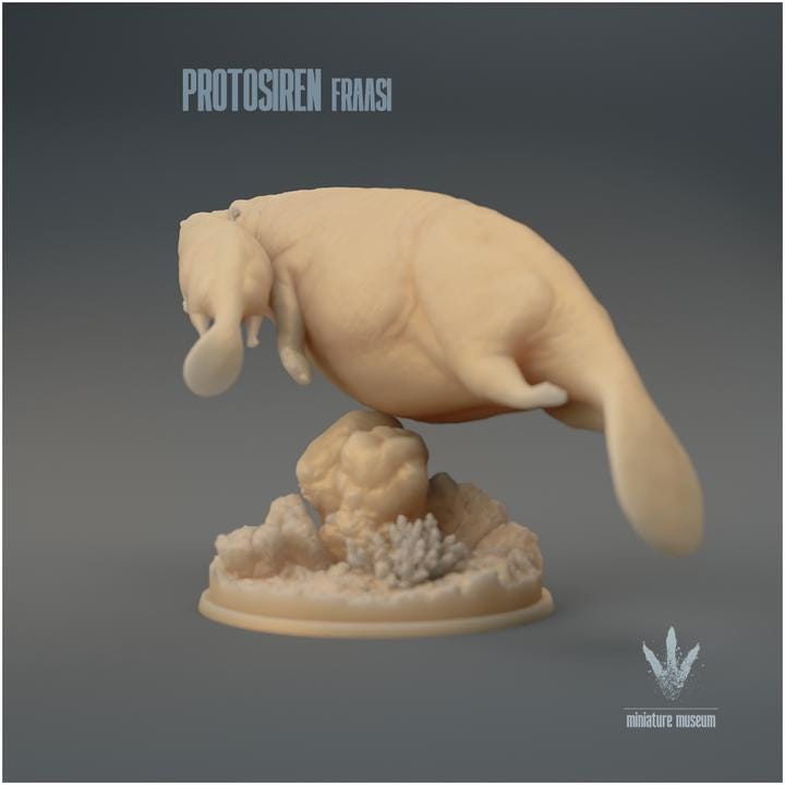 Protosiren fraasi : The Prehistoric Manatee Family - UNPAINTED 3D Resin Figure - Miniature Museum