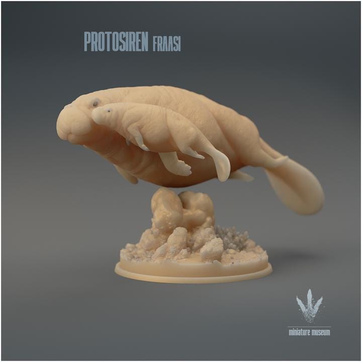 Protosiren fraasi : The Prehistoric Manatee Family - UNPAINTED 3D Resin Figure - Miniature Museum