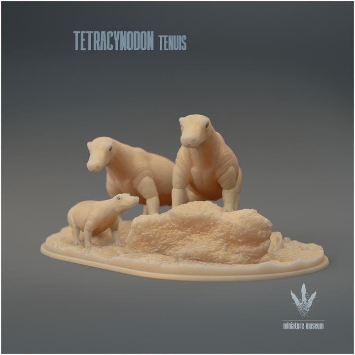 Tetracynodon tenuis : Family Group - UNPAINTED 3D Resin Figure - Miniature Museum