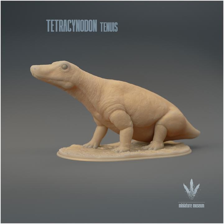 Tetracynodon tenuis : Sitting - UNPAINTED 3D Resin Figure - Miniature Museum