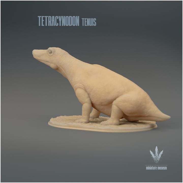 Tetracynodon tenuis : Sitting - UNPAINTED 3D Resin Figure - Miniature Museum