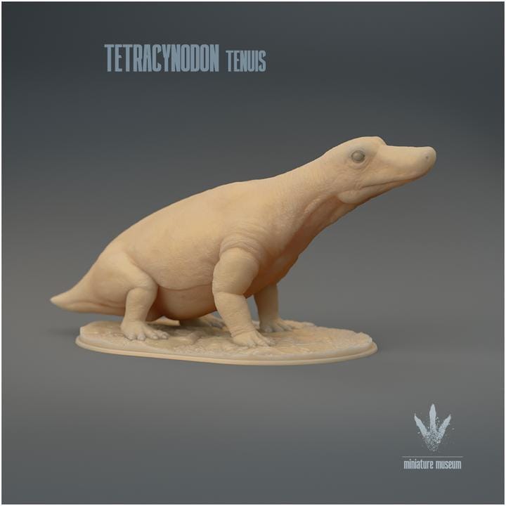 Tetracynodon tenuis : Sitting - UNPAINTED 3D Resin Figure - Miniature Museum