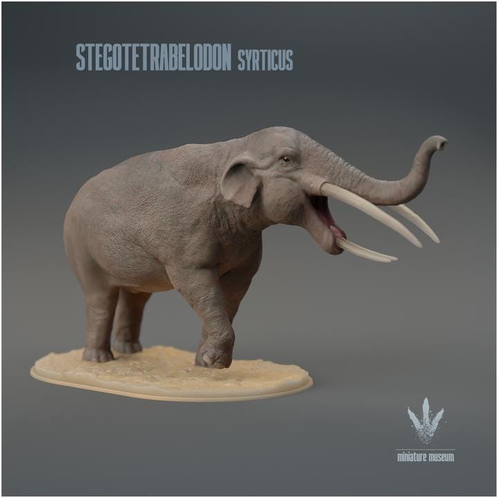 Stegotetrabelodon syrticus : Display - UNPAINTED 3D Resin Figure - Miniature Museum