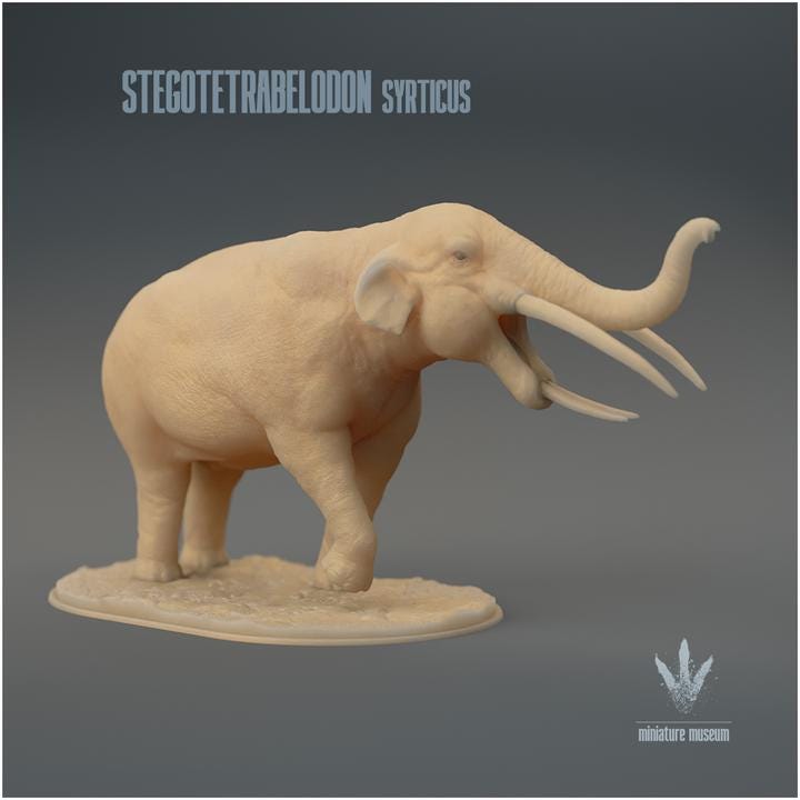 Stegotetrabelodon syrticus : Display - UNPAINTED 3D Resin Figure - Miniature Museum