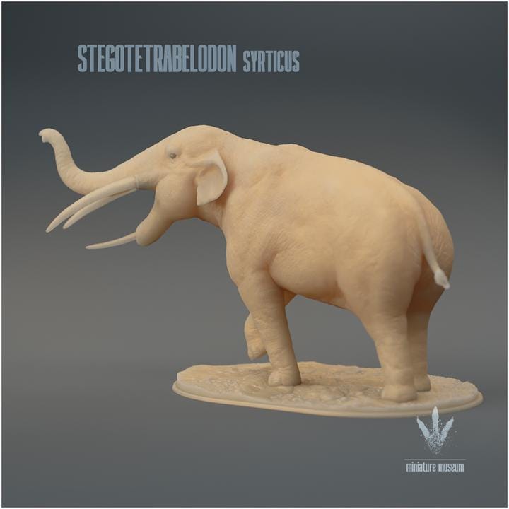 Stegotetrabelodon syrticus : Display - UNPAINTED 3D Resin Figure - Miniature Museum