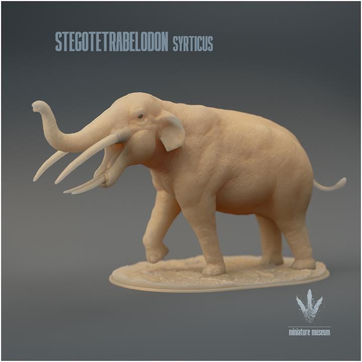 Stegotetrabelodon syrticus : Display - UNPAINTED 3D Resin Figure - Miniature Museum