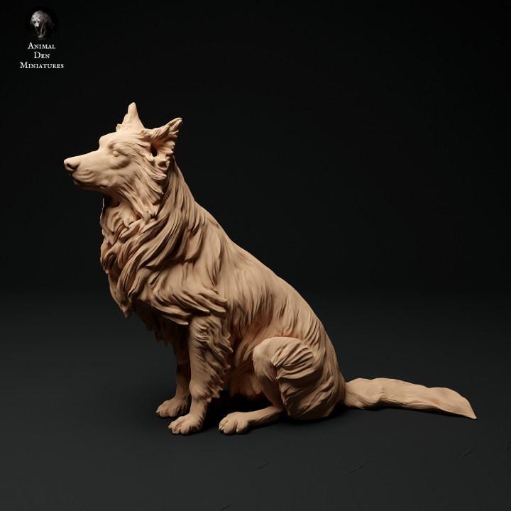 Border Collie - UNPAINTED 3D Resin Figure - Animal Den Miniatures