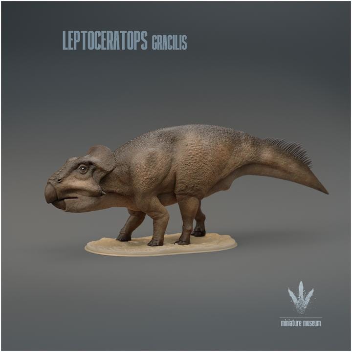 Leptoceratops gracilis : The Small Horn Face - UNPAINTED 3D Resin Figure - Miniature Museum