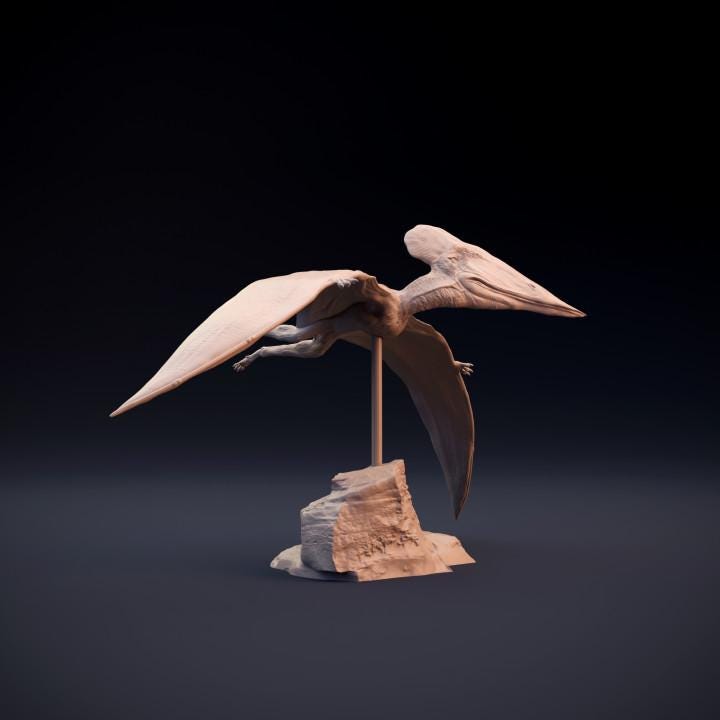 Tupuxuara flying - pterosaur - UNPAINTED 3D Resin Figure - Dino and Dog Miniatures