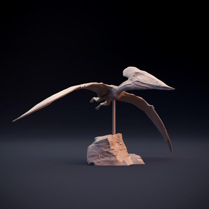 Tupuxuara flying - pterosaur - UNPAINTED 3D Resin Figure - Dino and Dog Miniatures
