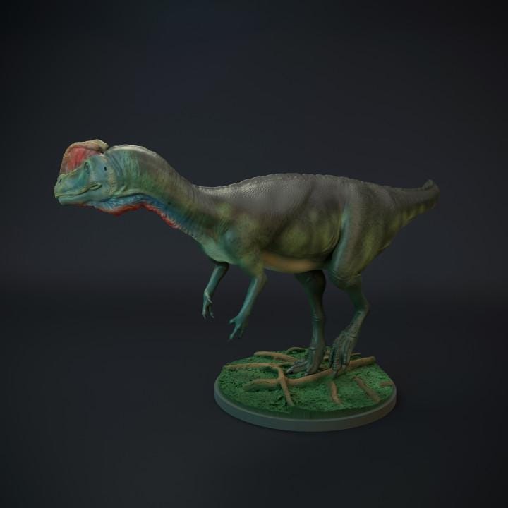 Dilophosaurus walking - UNPAINTED 3D Resin Figure - Dino and Dog Miniatures
