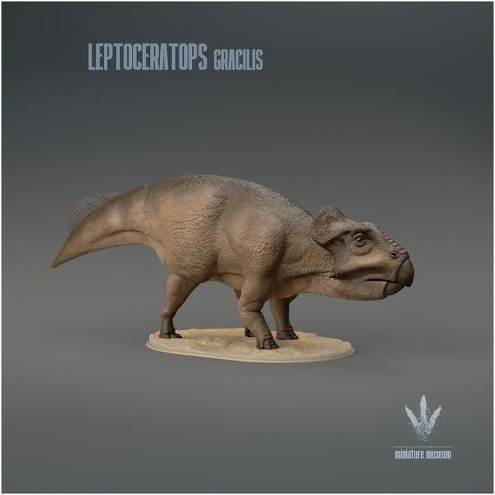 Leptoceratops gracilis : The Small Horn Face - UNPAINTED 3D Resin Figure - Miniature Museum