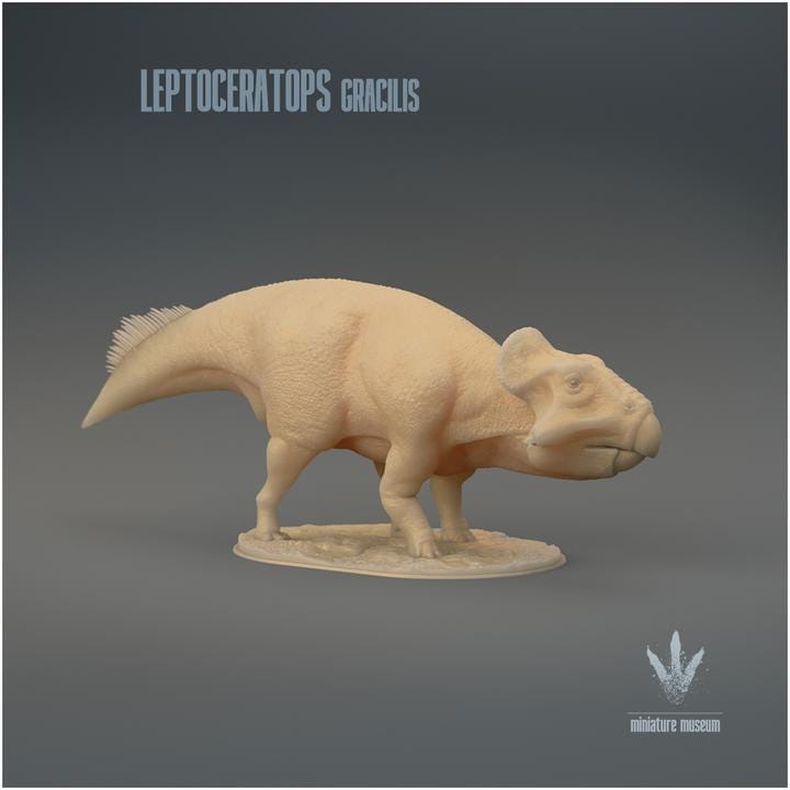 Leptoceratops gracilis : The Small Horn Face - UNPAINTED 3D Resin Figure - Miniature Museum