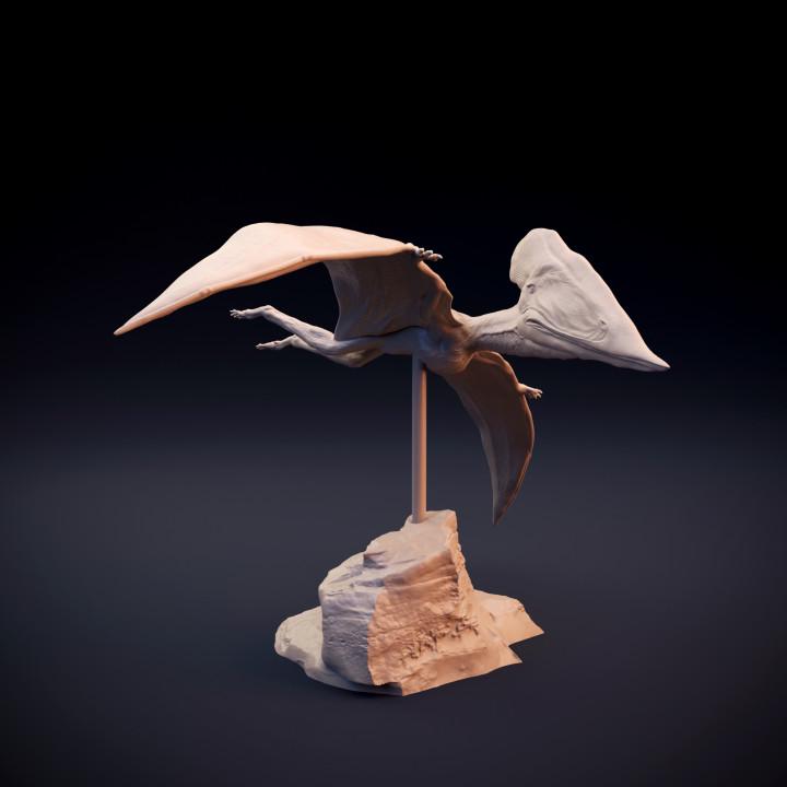 Tupuxuara flying - pterosaur - UNPAINTED 3D Resin Figure - Dino and Dog Miniatures