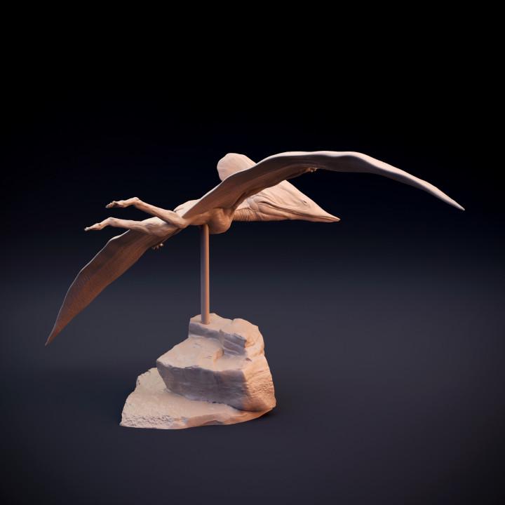 Tupuxuara flying - pterosaur - UNPAINTED 3D Resin Figure - Dino and Dog Miniatures