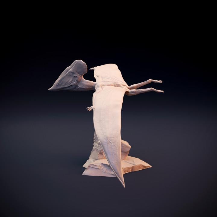 Tupuxuara flying - pterosaur - UNPAINTED 3D Resin Figure - Dino and Dog Miniatures