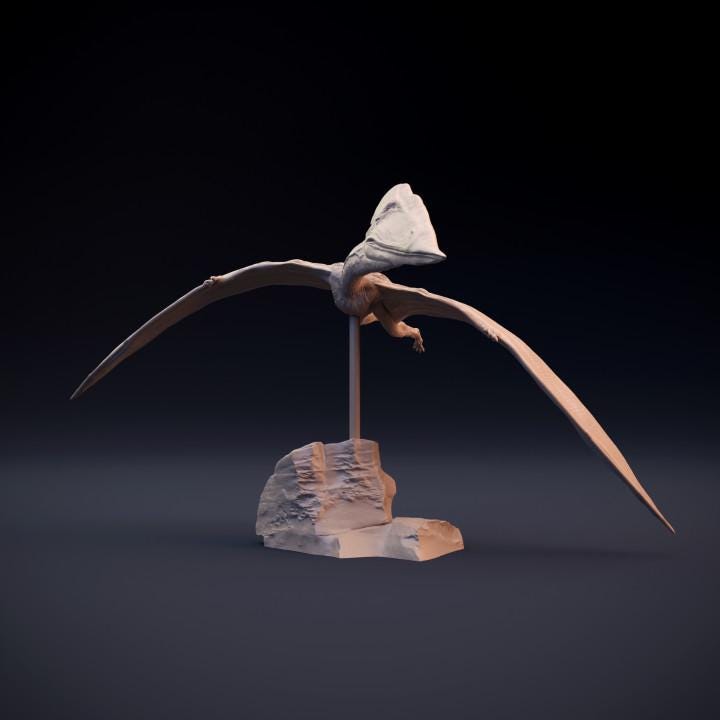 Tupuxuara flying - pterosaur - UNPAINTED 3D Resin Figure - Dino and Dog Miniatures