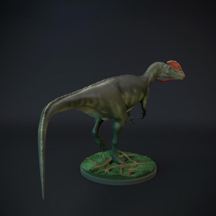 Dilophosaurus walking - UNPAINTED 3D Resin Figure - Dino and Dog Miniatures