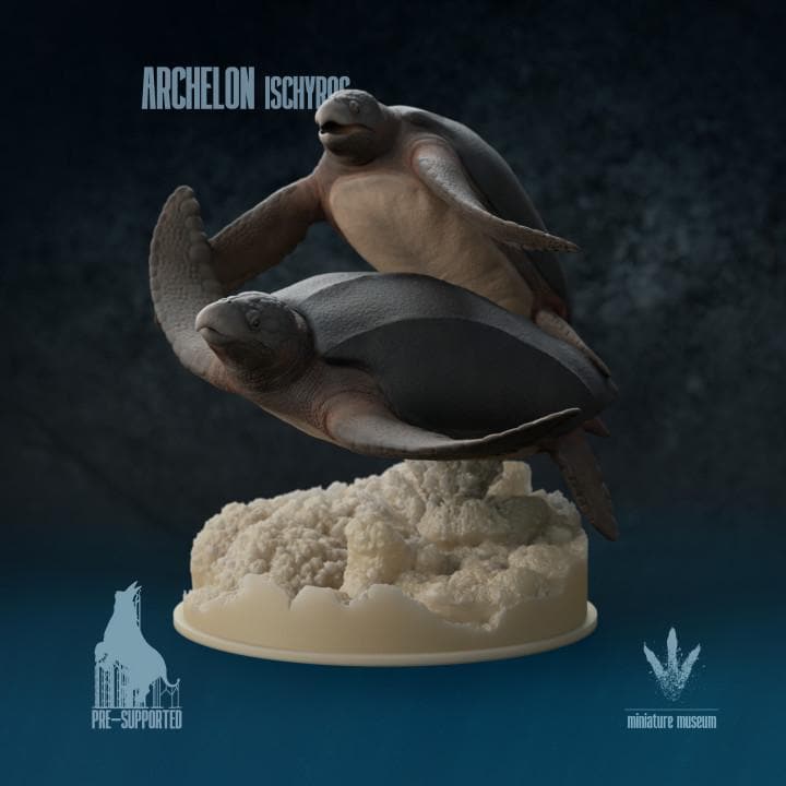 Archelon ischyros : Swimming Giants - UNPAINTED 3D Resin Figures - Miniature Museum