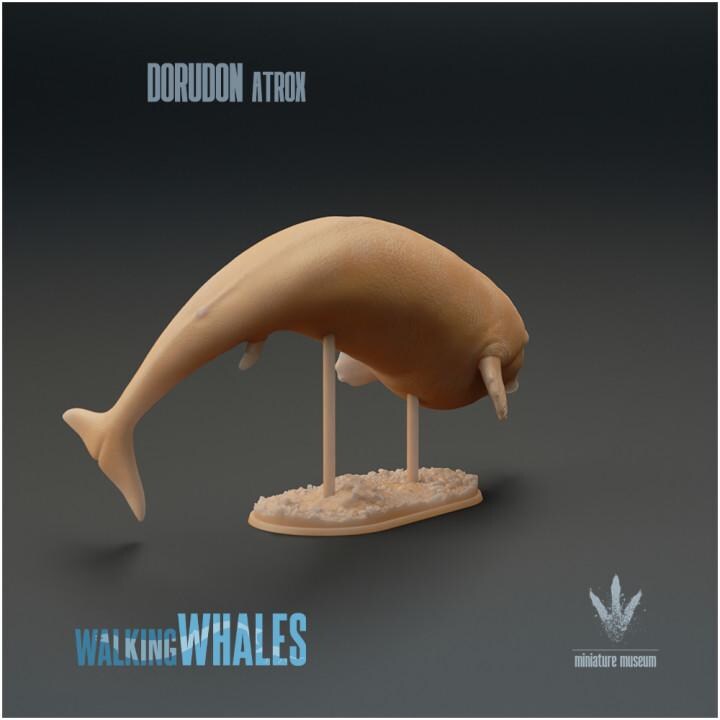 Dorudon atrox : Spear-toothed Whale - UNPAINTED 3D Resin Figure - Miniature Museum