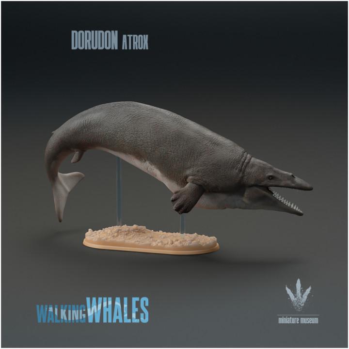 Dorudon atrox : Spear-toothed Whale - UNPAINTED 3D Resin Figure - Miniature Museum