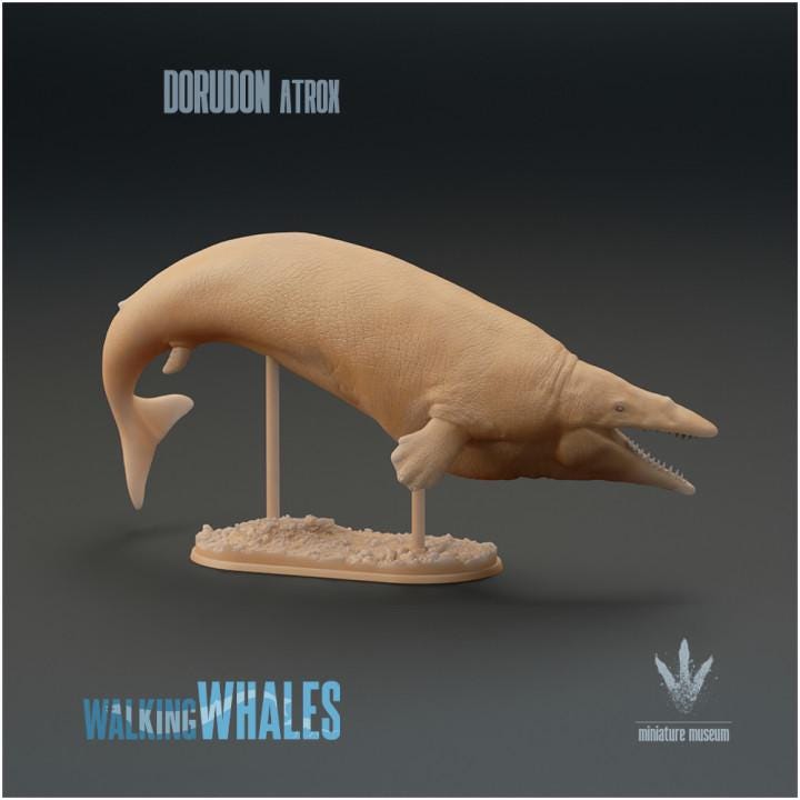 Dorudon atrox : Spear-toothed Whale - UNPAINTED 3D Resin Figure - Miniature Museum
