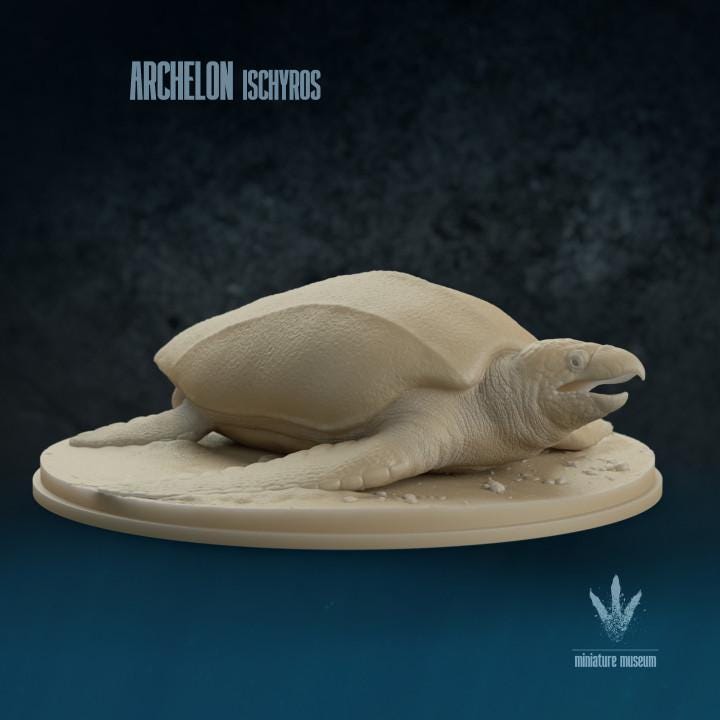 Archelon ischyros : On the Beach - UNPAINTED 3D Resin Figure - Miniature Museum
