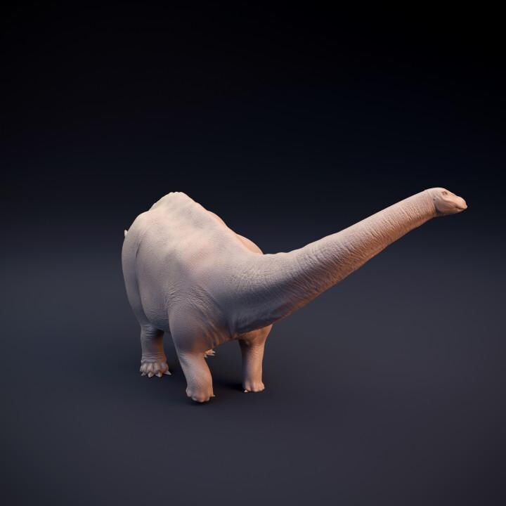 Apatosaurus - UNPAINTED 3D Resin Figure - Dino and Dog Miniatures