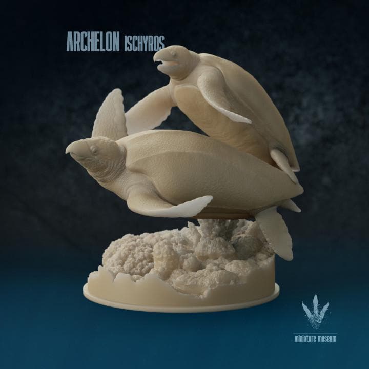Archelon ischyros : Swimming Giants - UNPAINTED 3D Resin Figures - Miniature Museum