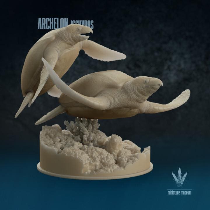 Archelon ischyros : Swimming Giants - UNPAINTED 3D Resin Figures - Miniature Museum