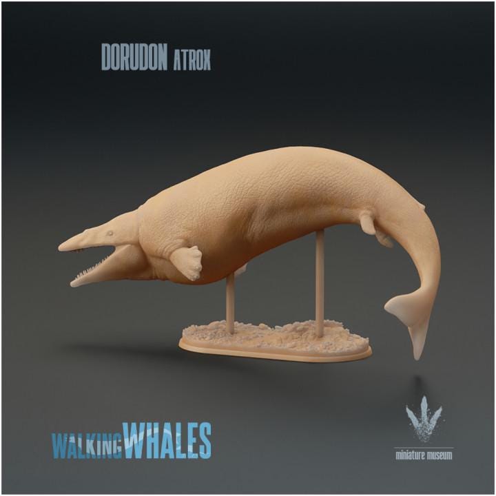 Dorudon atrox : Spear-toothed Whale - UNPAINTED 3D Resin Figure - Miniature Museum