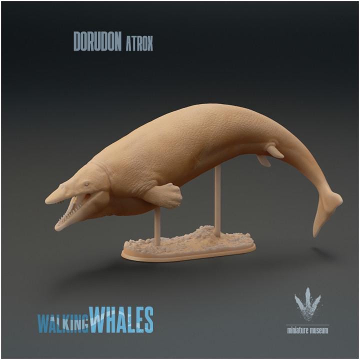 Dorudon atrox : Spear-toothed Whale - UNPAINTED 3D Resin Figure - Miniature Museum