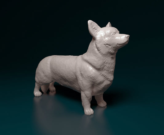 Corgi - Pembroke Welsh Corgi - Sterocat 3D Resin Print