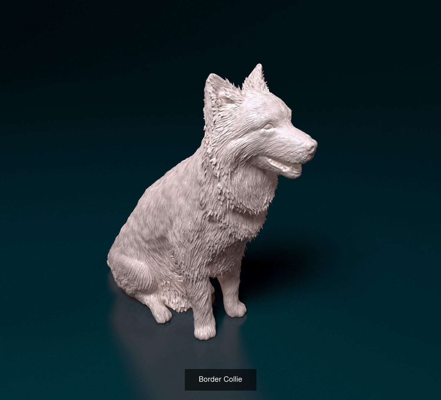 Border Collie - Sterocat 3d Resin Print