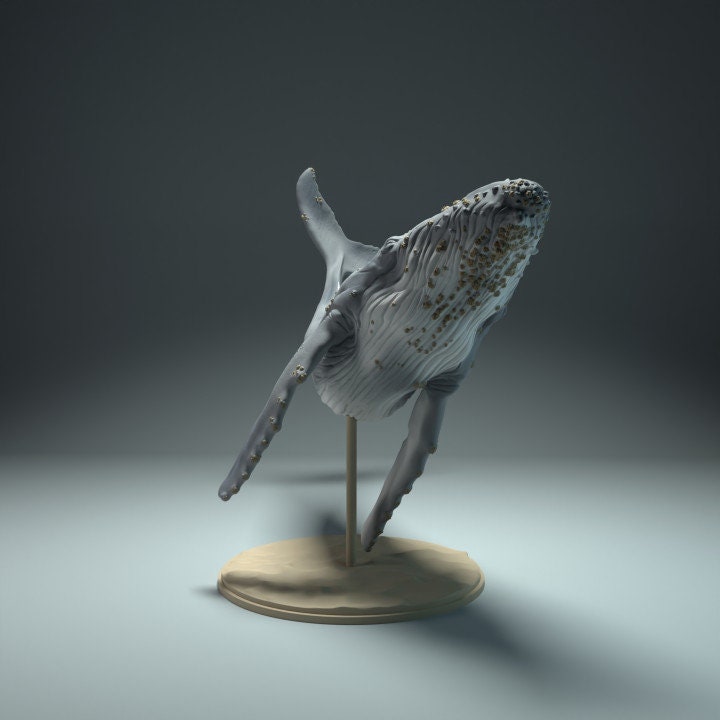Humpback Whale - UNPAINTED - Animal Den Miniatures