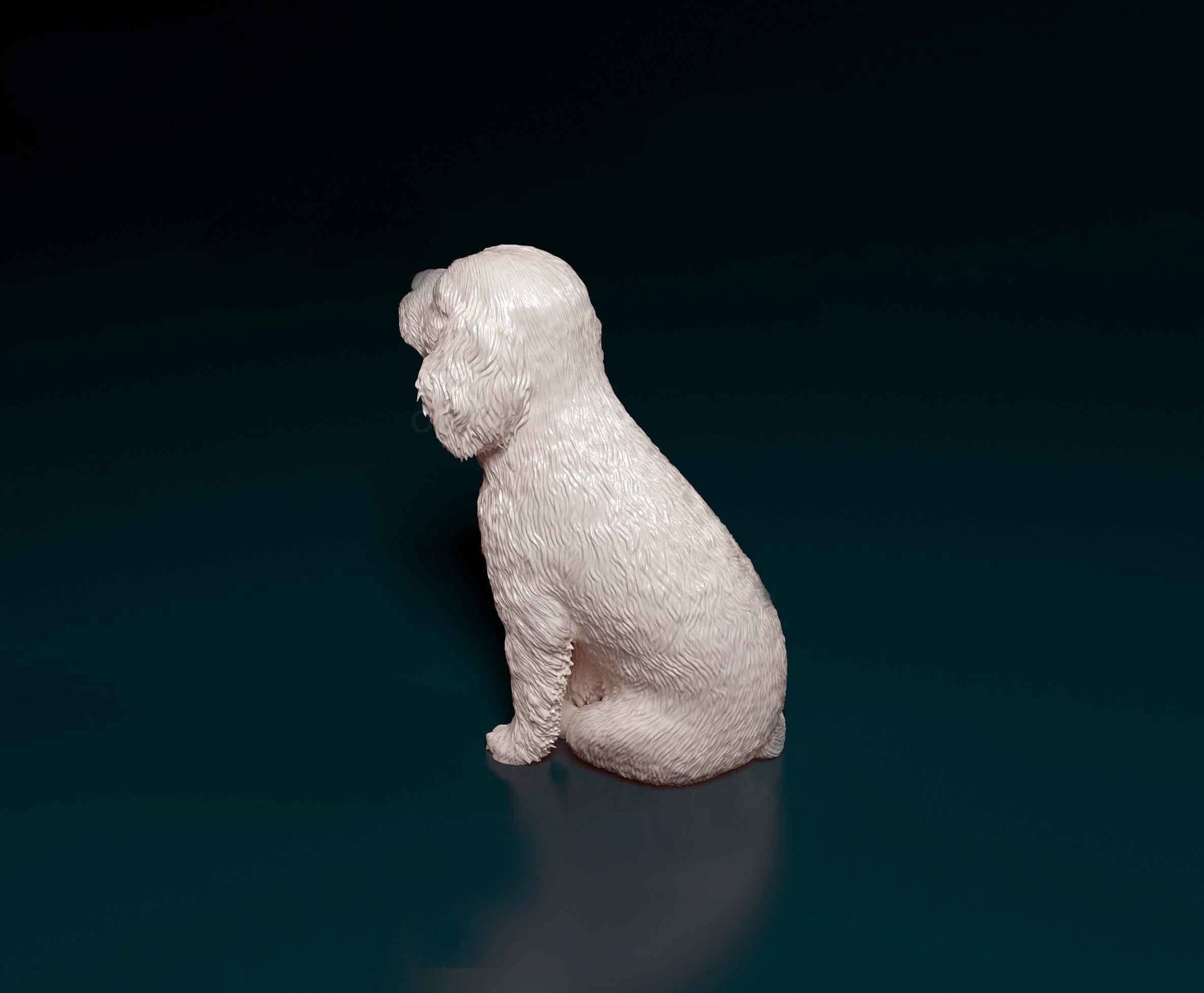 Cavalier King Charles Spaniel - Sterocat 3D Print