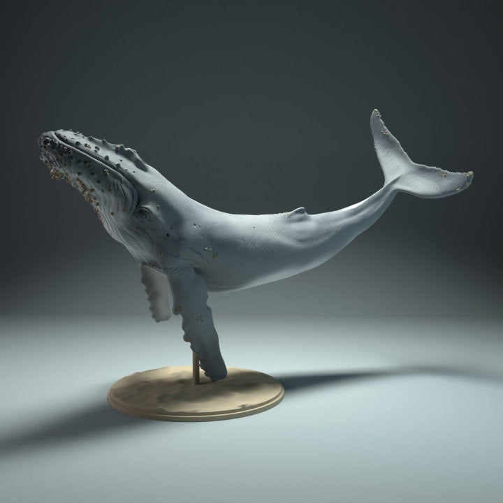 Humpback Whale - UNPAINTED - Animal Den Miniatures