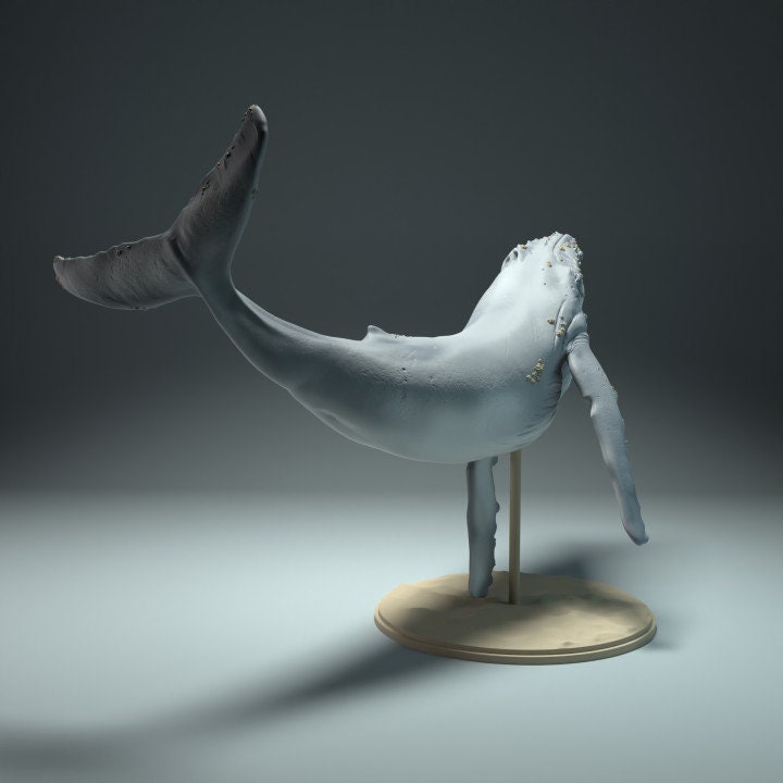 Humpback Whale - UNPAINTED - Animal Den Miniatures