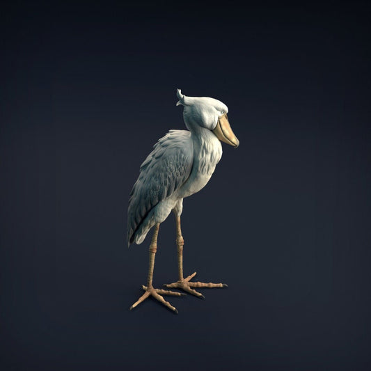 Shoebill - UNPAINTED 3D resin print/figure - Animal Den Miniatures