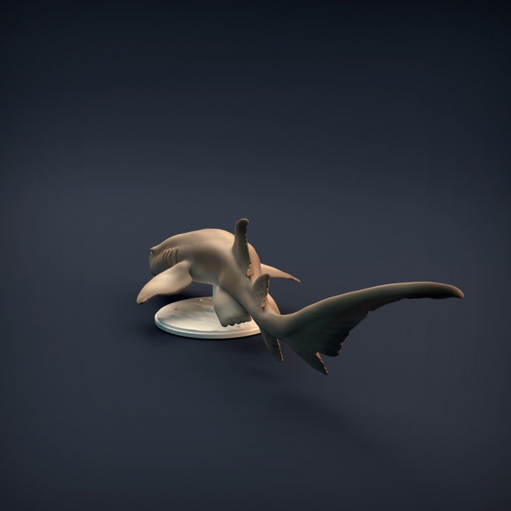 Nurse Shark - UNPAINTED - Animal Den Miniatures