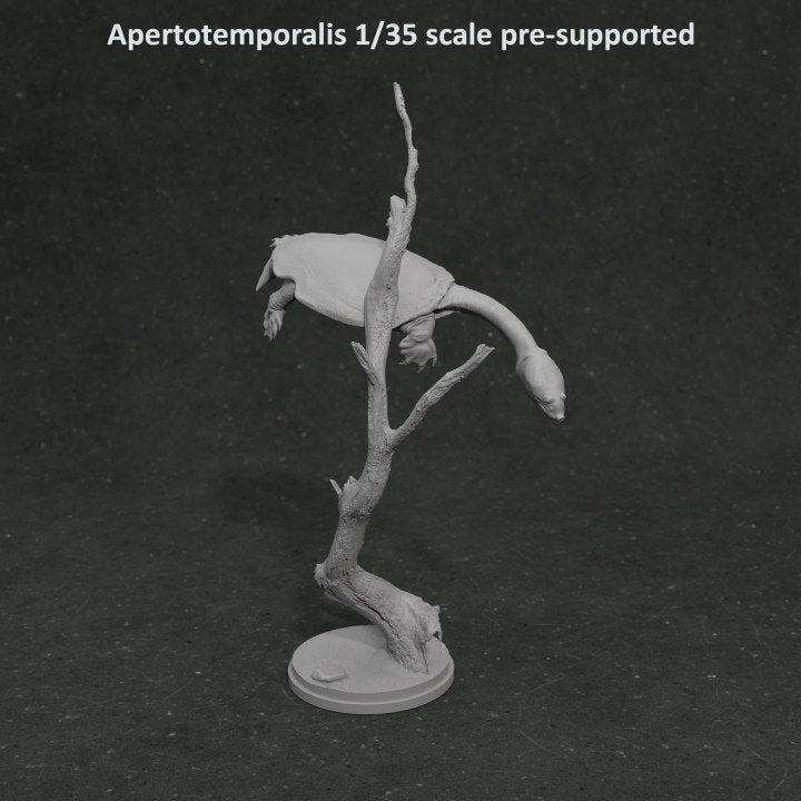 Apertotemporalis Turtle - Dino and Dog Miniatures