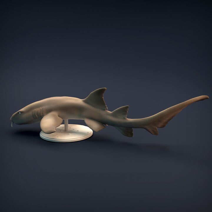 Nurse Shark - UNPAINTED - Animal Den Miniatures