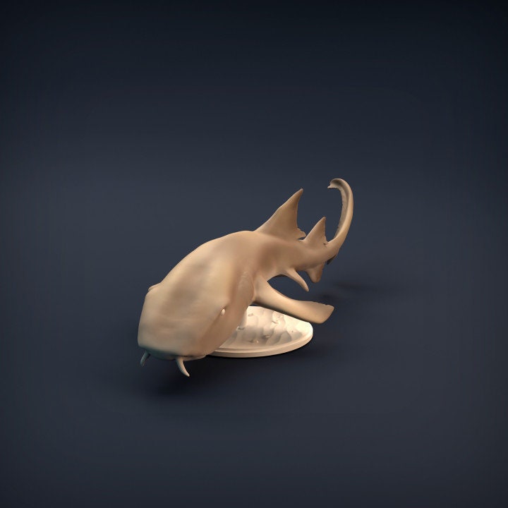 Nurse Shark - UNPAINTED - Animal Den Miniatures