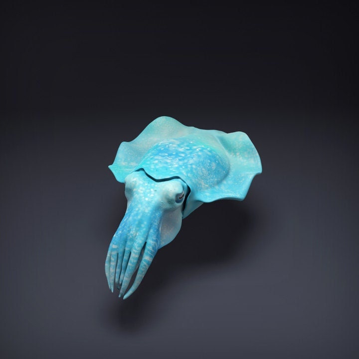 Cuttlefish - Animal Den Miniatures