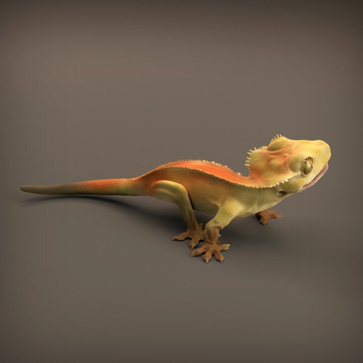 Gecko - Animal Den Miniatures