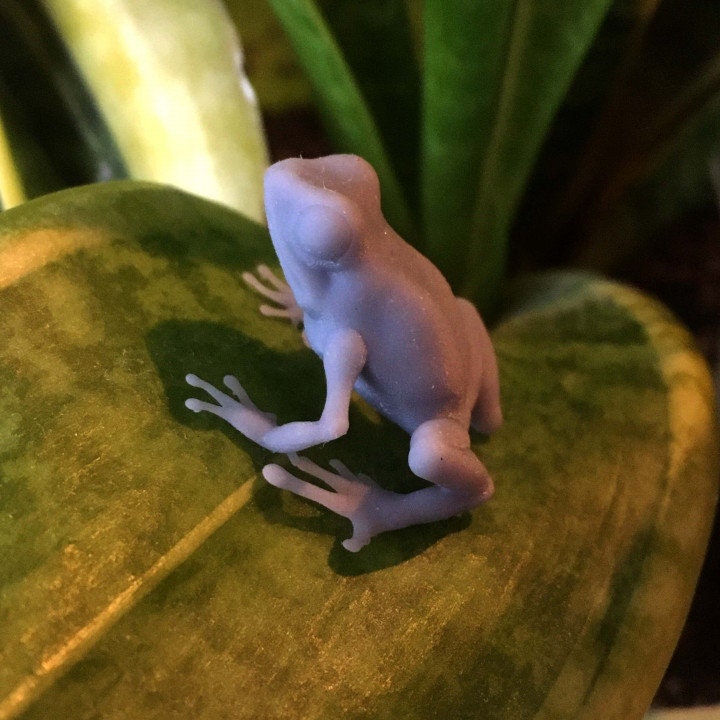 Dart Frog - Animal Den Miniatures