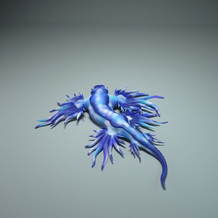 Glaucus atlanticus - Animal Den Miniatures