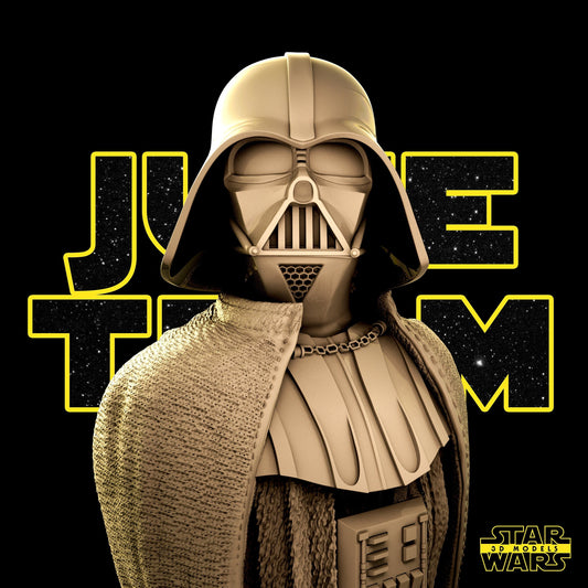 Darth Vader/Anakin Bust - Star Wars 3D Models