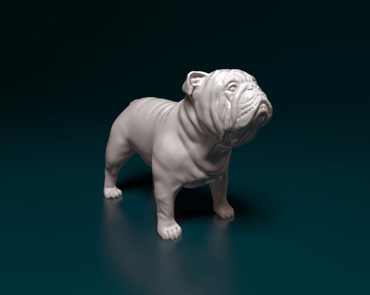 English Bulldog -Smooth- 3D Print