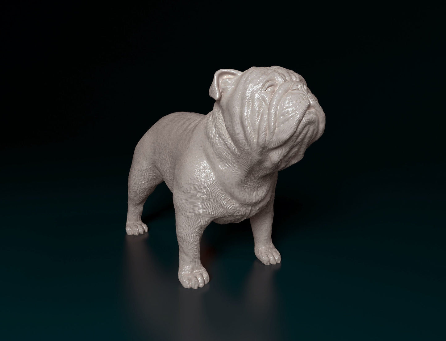 English Bulldog -Smooth- 3D Print